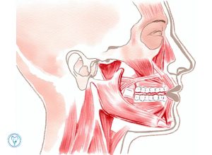 علت بی حسی لب پایین بعد از جراحی فک